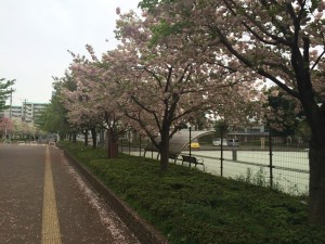 西東京いこいの森公園