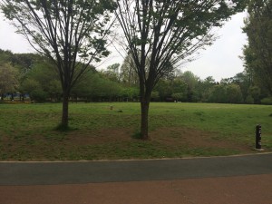 西東京いこいの森公園